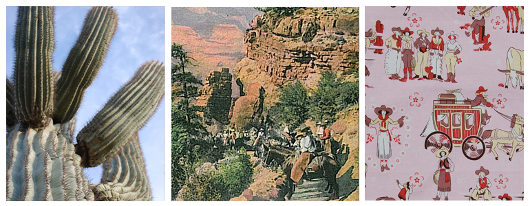 Sam harvey arizona images